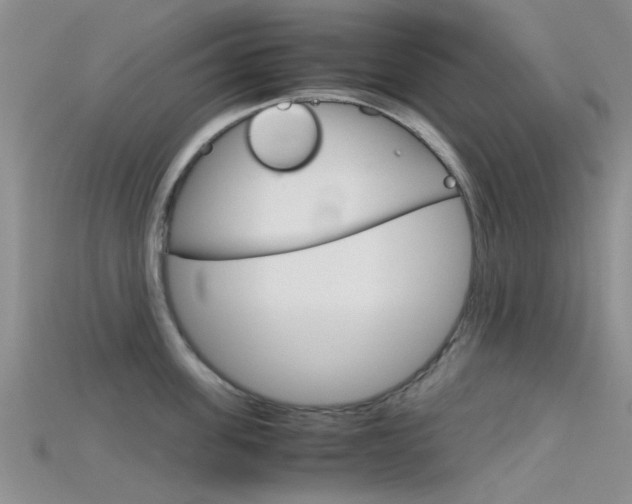 X0000115740955200911121059