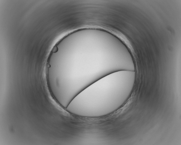 X0000115740958200911121059