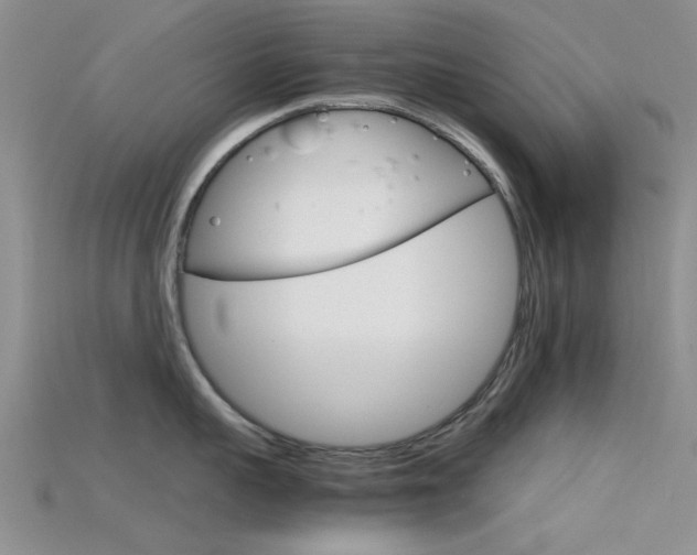 X0000115740959200911121059