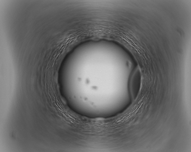 X0000115740961200911121059