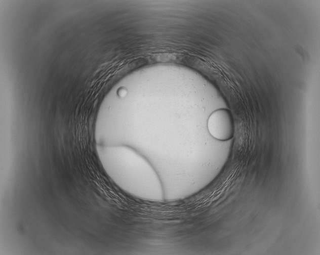 X0000115740962200911121059