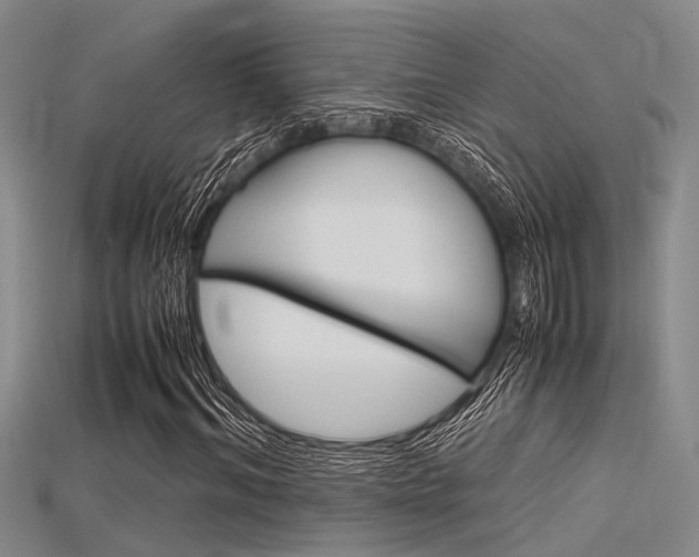 X0000115740964200911121059