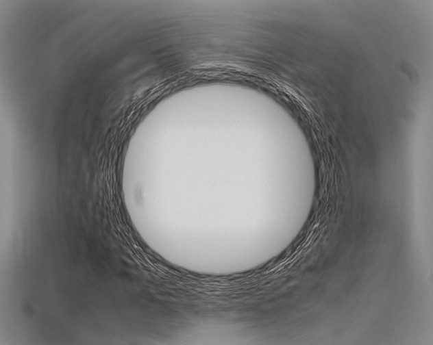X0000115740965200911121059