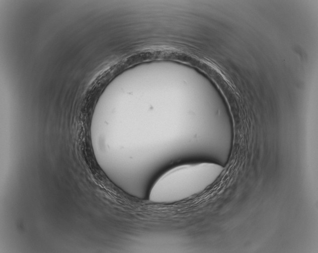 X0000115740967200911121059