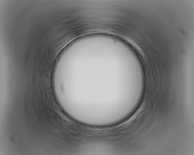 X0000115740969200911121059