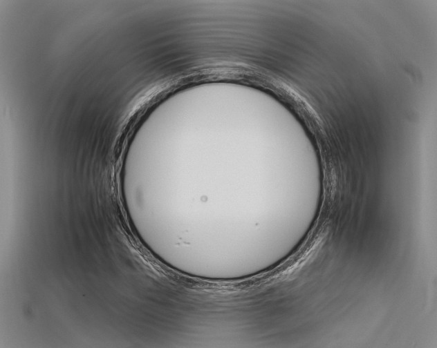 X0000115740970200911121059