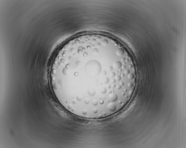 X0000115740974200911121058