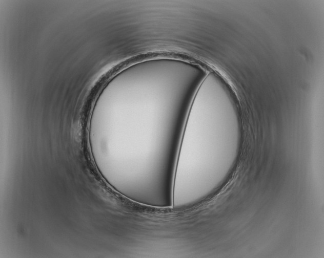 X0000115740975200911121058