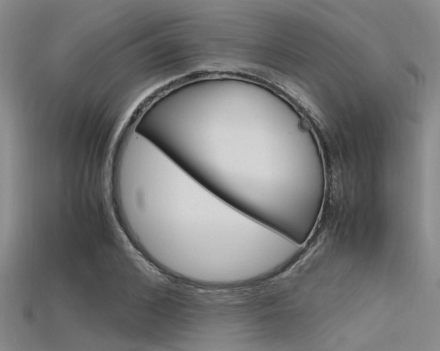 X0000115740976200911121058