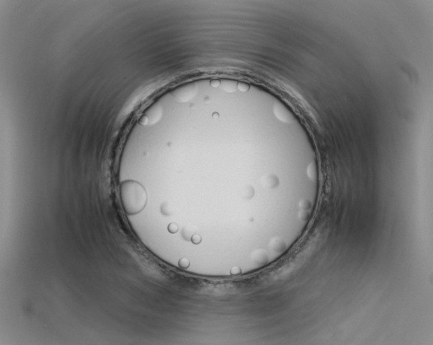 X0000115740978200911121058