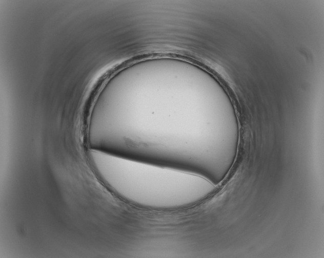 X0000115740979200911121058