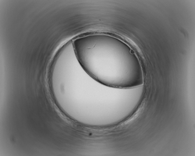 X0000115740981200911121058