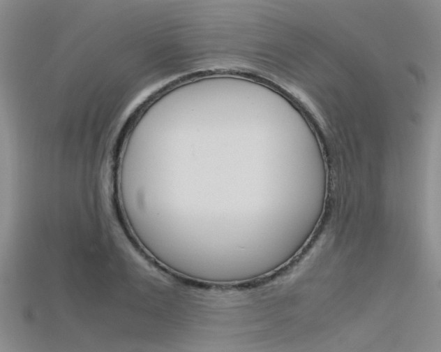 X0000115740983200911121058
