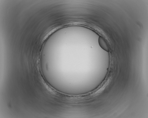 X0000115740985200911121058