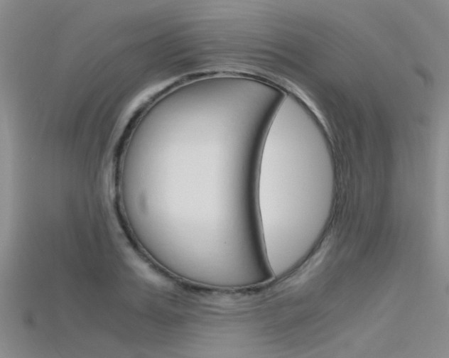 X0000115740987200911121058