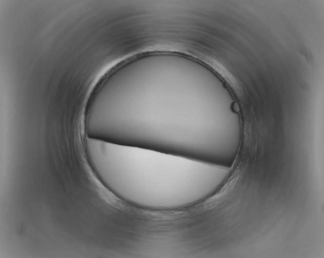 X0000115740988200911121058