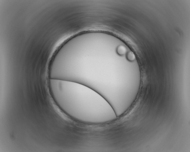 X0000115740990200911121058