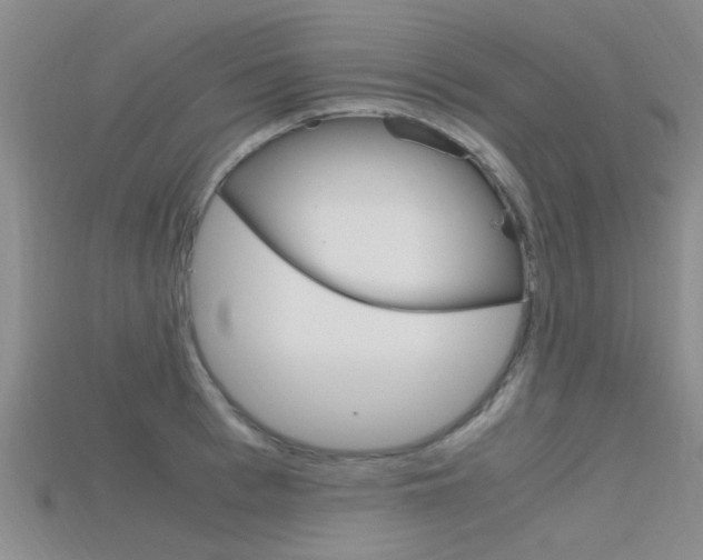 X0000115740993200911121058