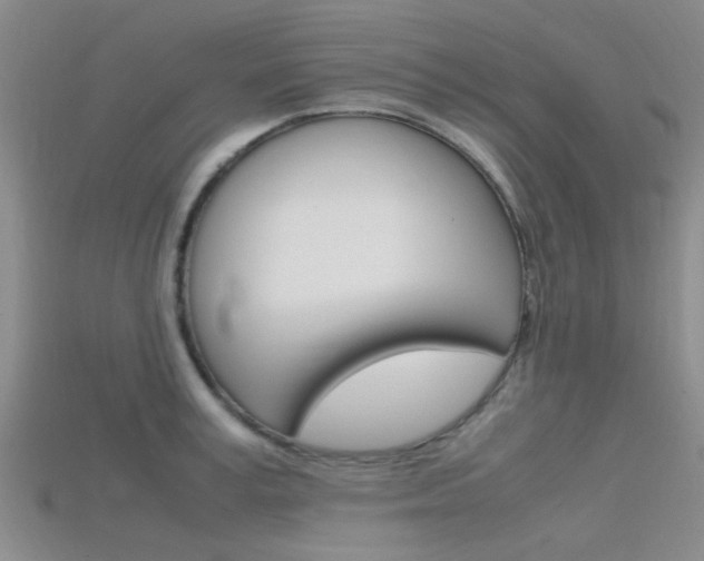 X0000115740995200911121058