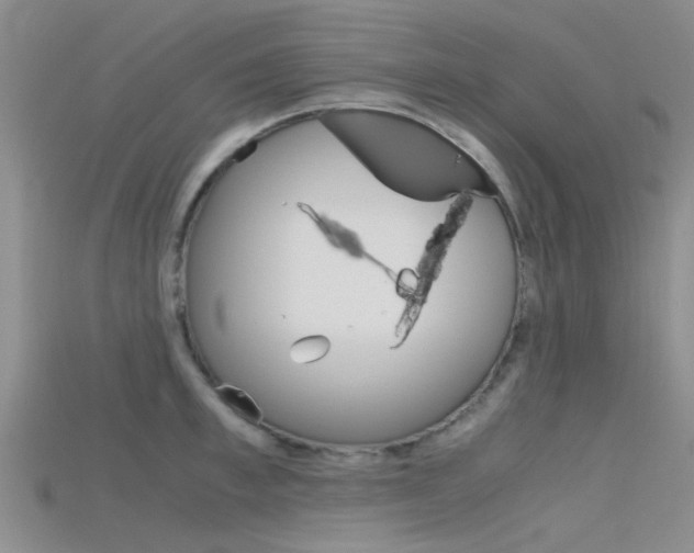 X0000115740997200911121058