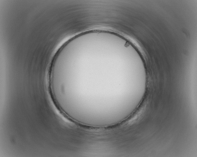 X0000115740999200911121058
