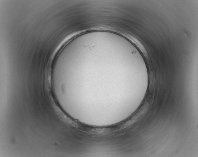X0000115741000200911121058