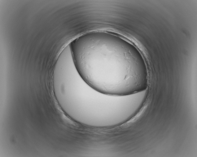 X0000115741001200911121058
