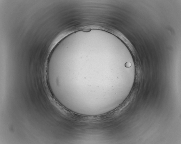X0000115741002200911121058
