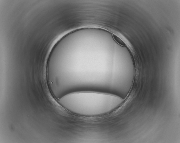 X0000115741004200911121058