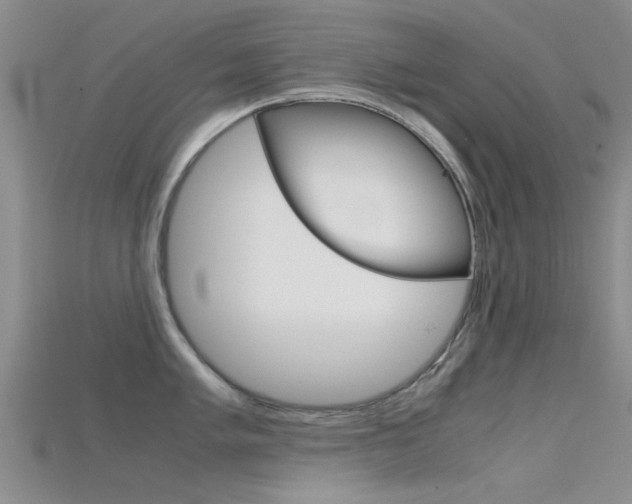 X0000115741005200911121058