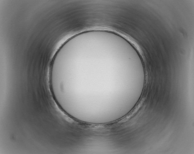 X0000115741006200911121058
