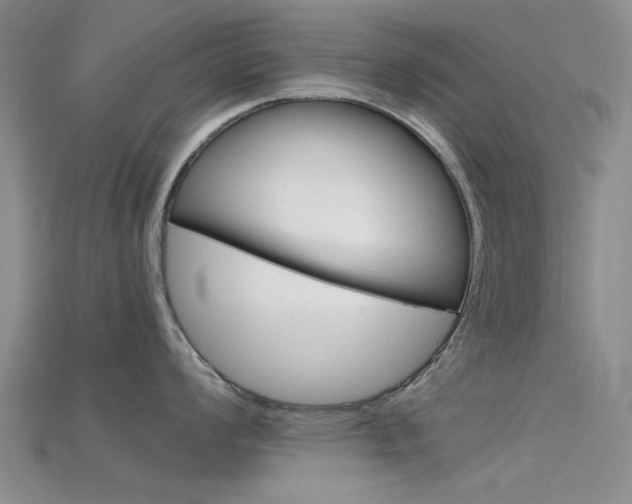 X0000115741008200911121058