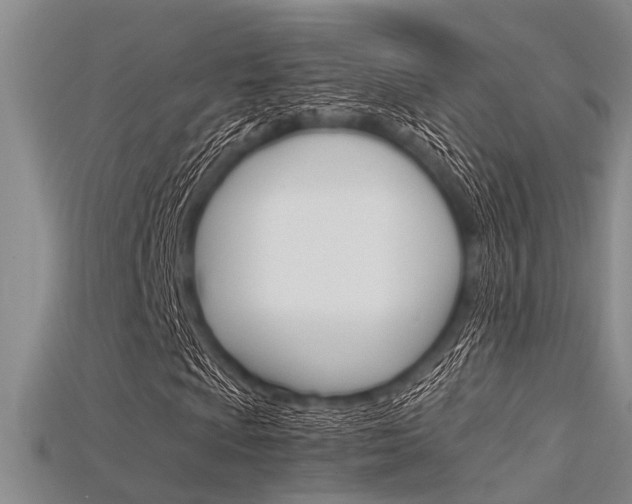 X0000115741009200911121057