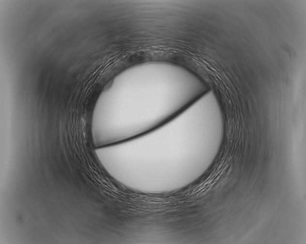 X0000115741010200911121057