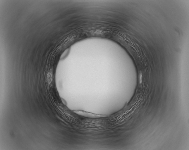 X0000115741011200911121057