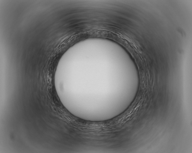 X0000115741013200911121057