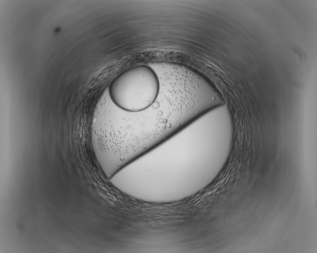 X0000115741014200911121057
