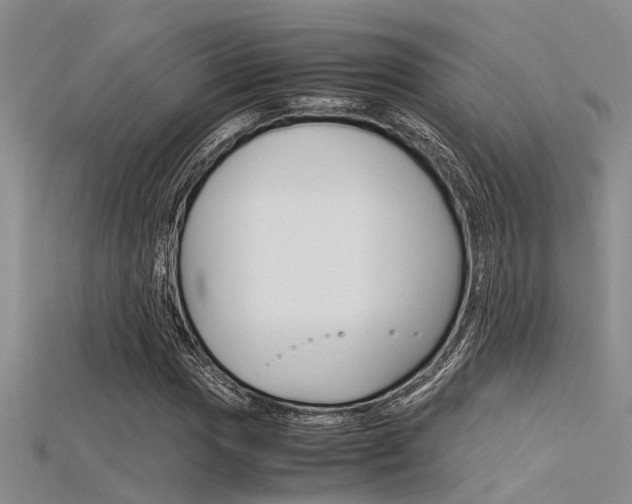 X0000115741017200911121058