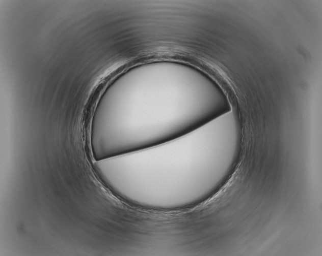 X0000115741018200911121058
