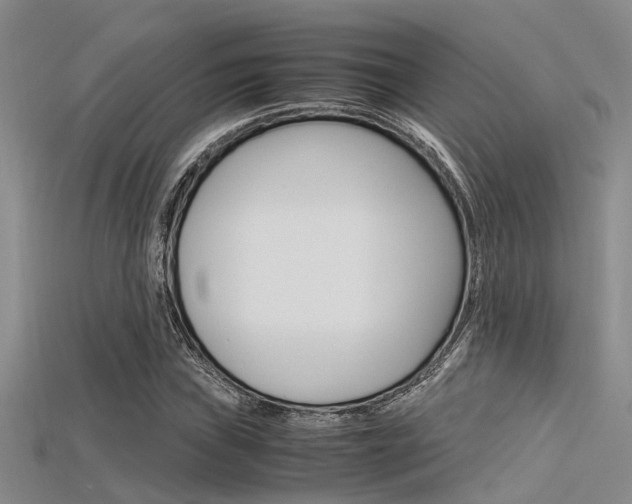 X0000115741019200911121058