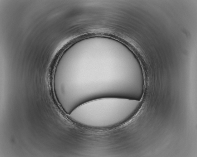 X0000115741022200911121058