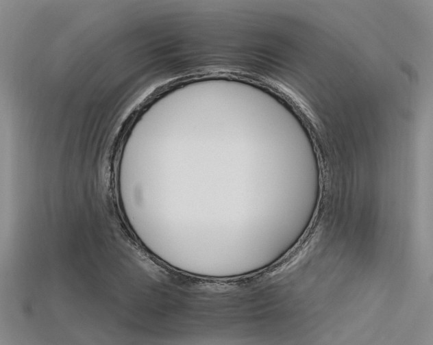 X0000115741023200911121058