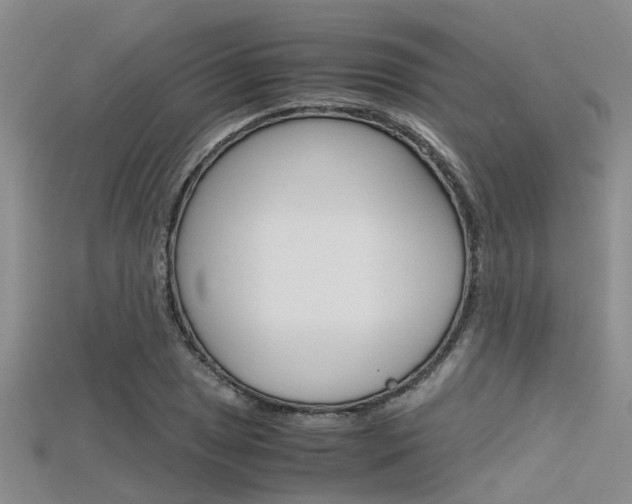 X0000115741025200911121058