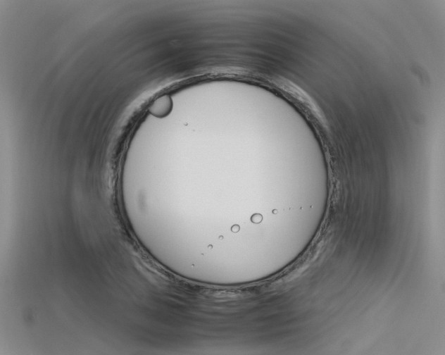 X0000115741027200911121058