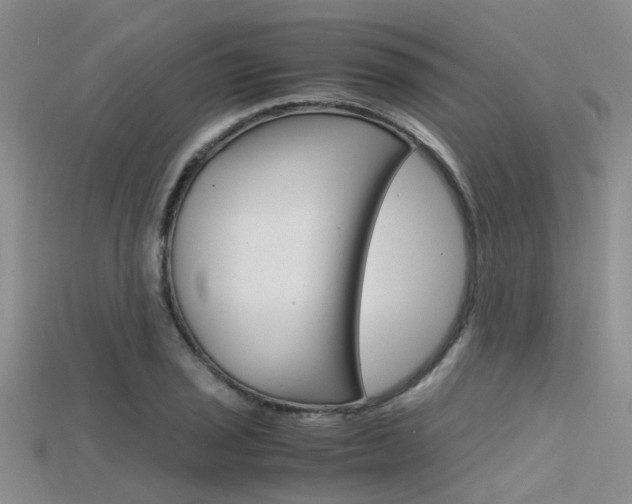 X0000115741029200911121058