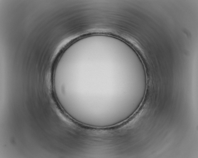 X0000115741030200911121058