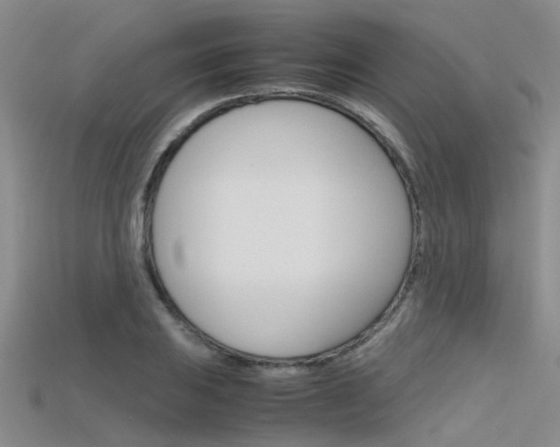 X0000115741031200911121058