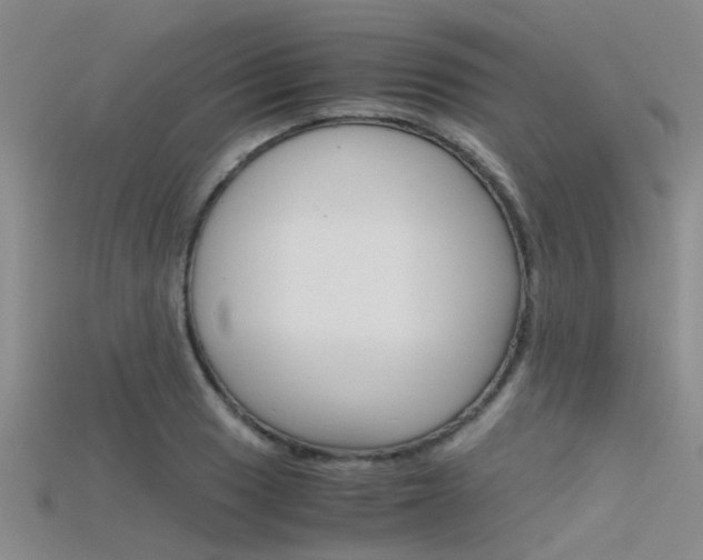 X0000115741033200911121058