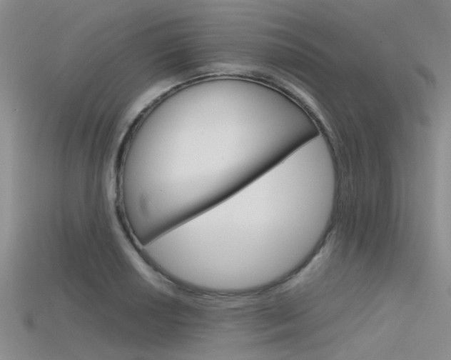 X0000115741034200911121058