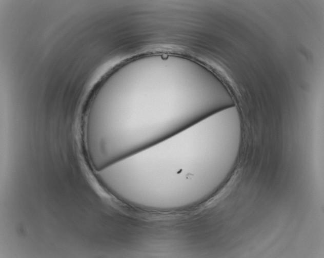X0000115741038200911121058